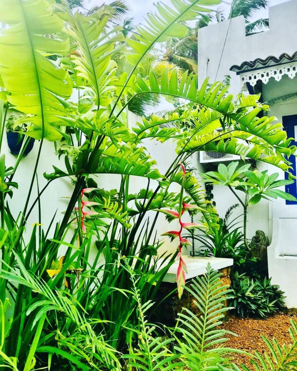 Sriyan Villa Beruwala Kültér fotó